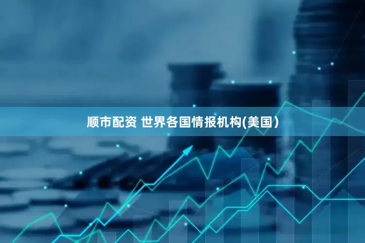 顺市配资 世界各国情报机构(美国）