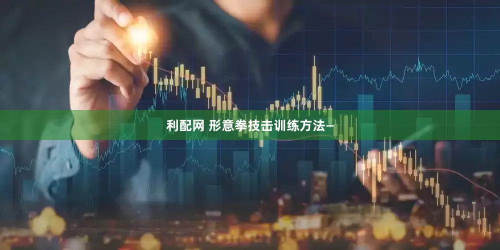 利配网 形意拳技击训练方法—